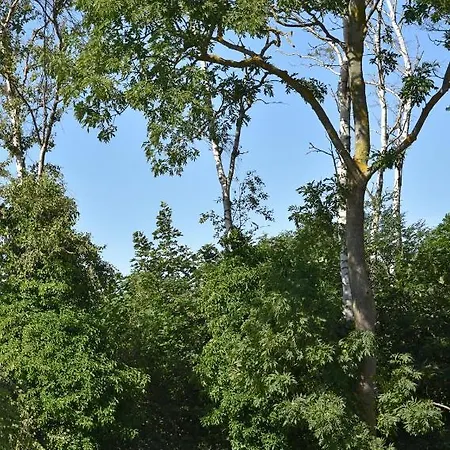 Hevenia Premium Baltic With Access Daire