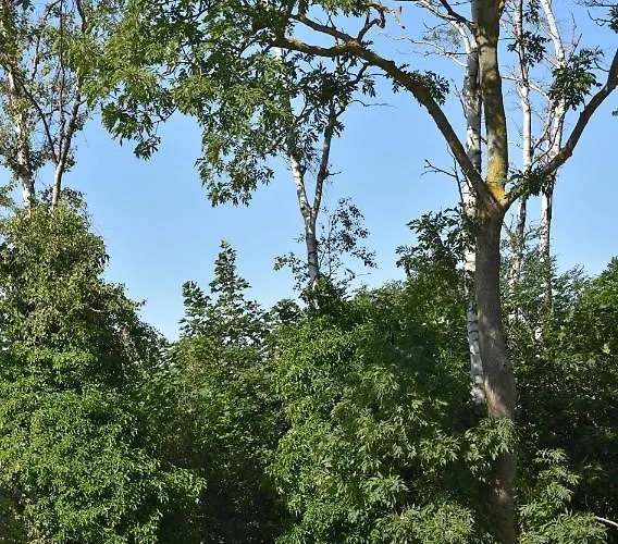 Hevenia Premium Baltic With Access Apartamento